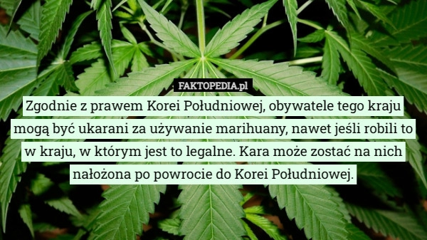 
    Zgodnie z prawem Korei Południowej, obywatele tego kraju mogą być ukarani...