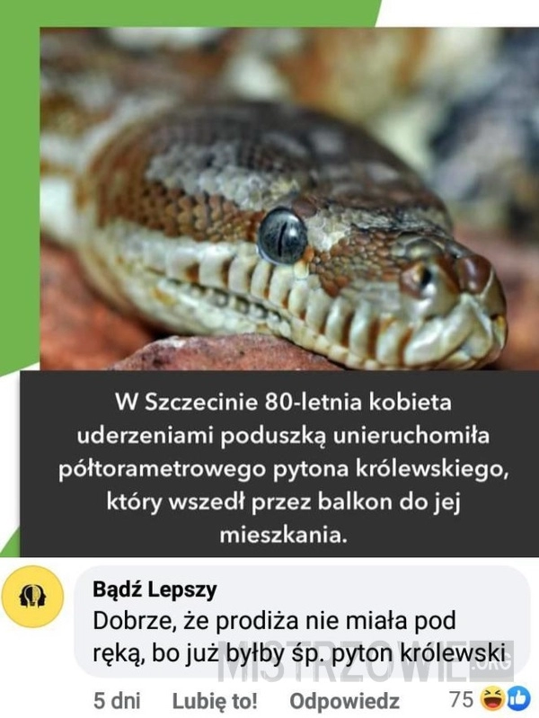 
    Wąż