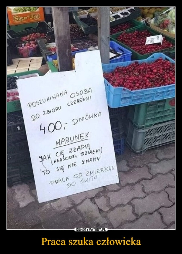 
    Praca szuka człowieka