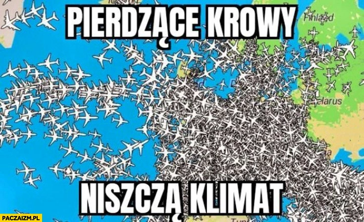 
    Pierdzące krowy niszczą klimat tymczasem niebo całe w samolotach