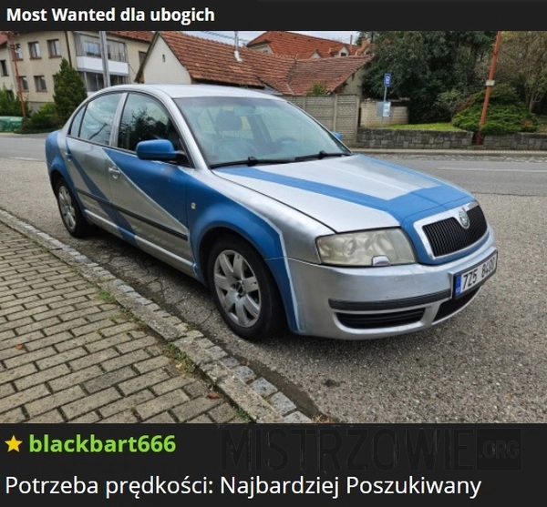 
    Most Wanted