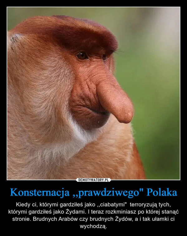 
    Konsternacja ,,prawdziwego" Polaka