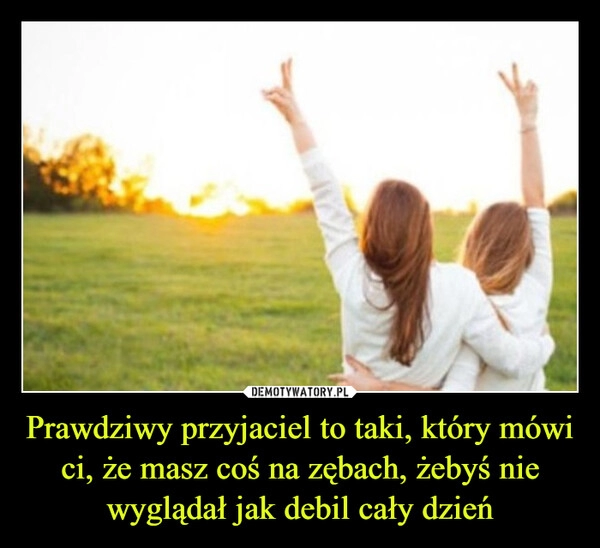 
    Prawdziwy przyjaciel to taki, który mówi ci, że masz coś na zębach, żebyś nie wyglądał jak debil cały dzień