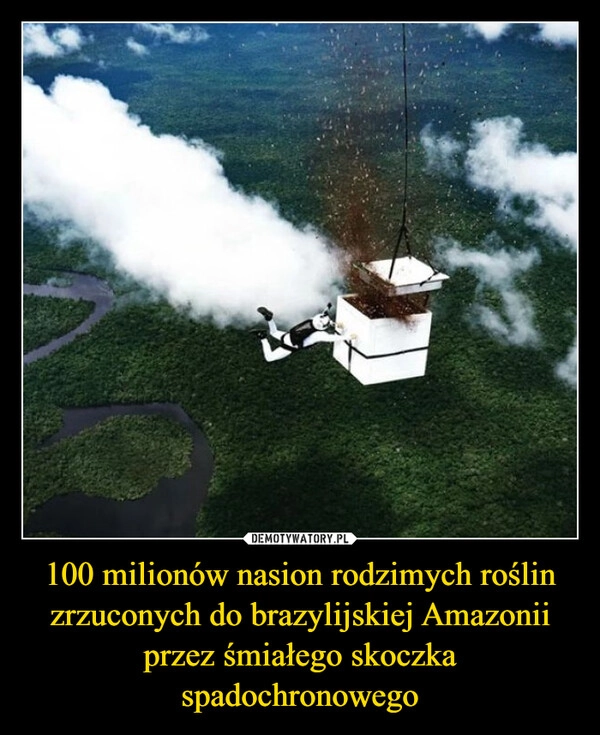 
    100 milionów nasion rodzimych roślin zrzuconych do brazylijskiej Amazonii przez śmiałego skoczka spadochronowego