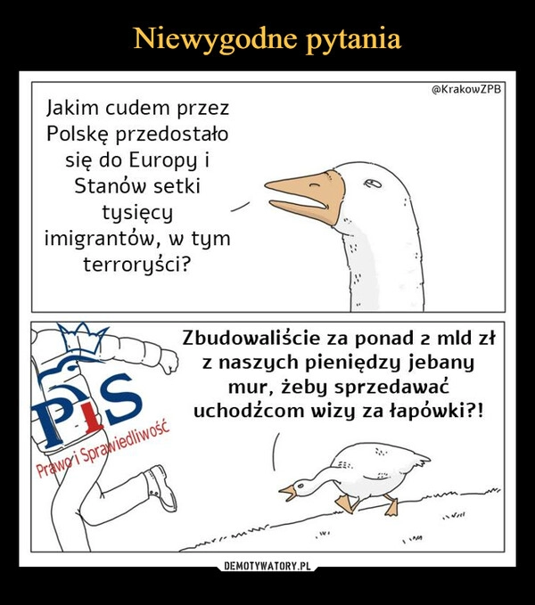 
    Niewygodne pytania