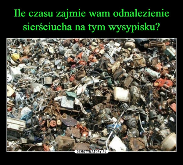 
    Ile czasu zajmie wam odnalezienie sierściucha na tym wysypisku?