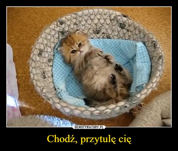 
    Chodź, przytulę cię