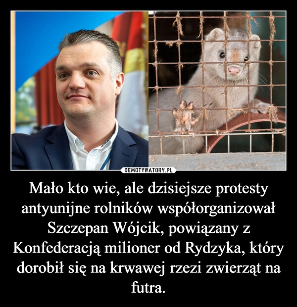 
    Mało kto wie, ale dzisiejsze protesty antyunijne rolników współorganizował Szczepan Wójcik, powiązany z Konfederacją milioner od Rydzyka, który dorobił się na krwawej rzezi zwierząt na futra.