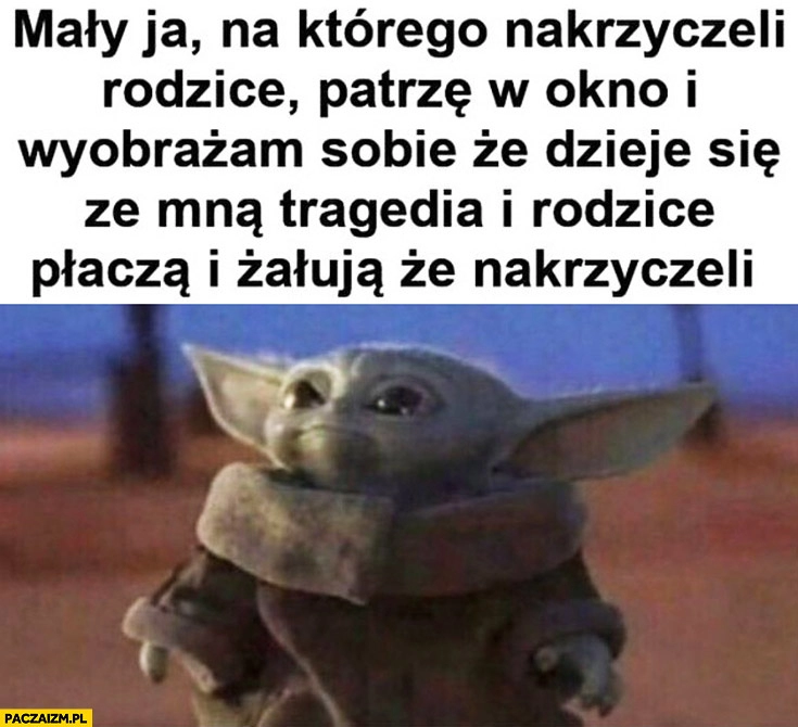 
    Yoda mały ja na którego nakrzyczeli rodzice wyobrażam sobie, że dzieje się ze mną tragedia i rodzice plączą i żałują, że nakrzyczeli