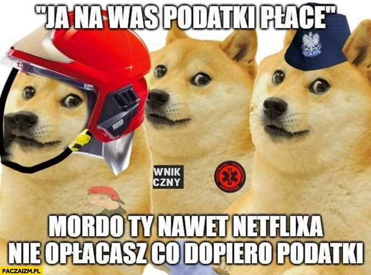 
    Ja na was podatki płacę, mordo ty nawet netflixa nie opłacasz co dopiero podatki