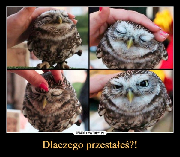 
    Dlaczego przestałeś?!