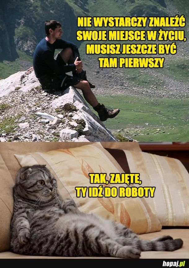 
    Miejsce w życiu