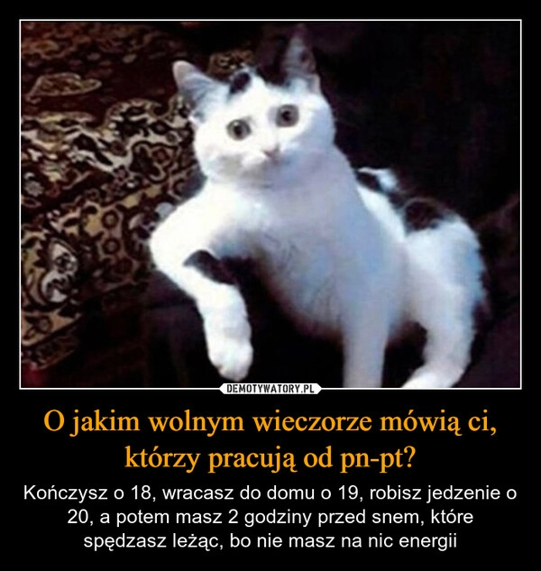 
    O jakim wolnym wieczorze mówią ci, którzy pracują od pn-pt?