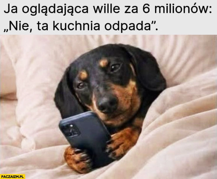 
    Ja oglądająca wille za 6 milionów, nie ta kuchnia odpada pies jamnik