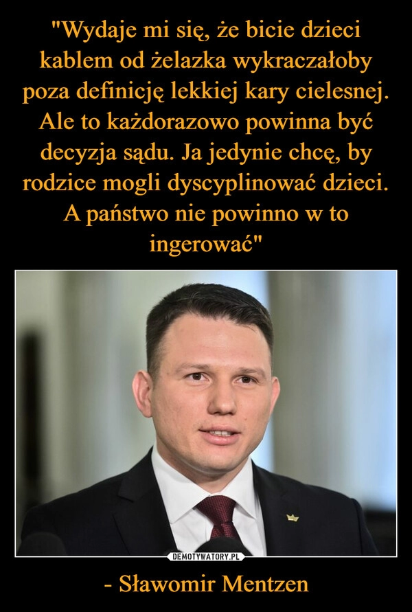 
    "Wydaje mi się, że bicie dzieci kablem od żelazka wykraczałoby poza definicję lekkiej kary cielesnej. Ale to każdorazowo powinna być decyzja sądu. Ja jedynie chcę, by rodzice mogli dyscyplinować dzieci. A państwo nie powinno w to ingerować" - Sławomir Mentzen