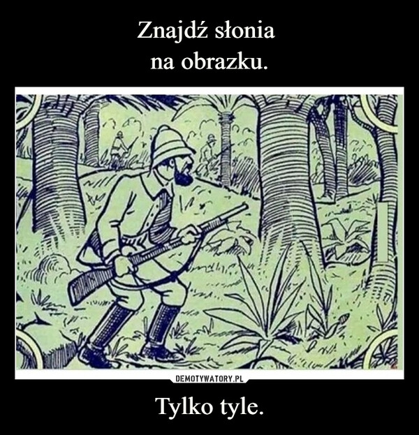 
    Znajdź słonia
na obrazku. Tylko tyle. 