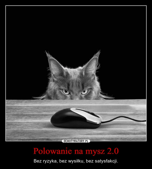 
    Polowanie na mysz 2.0