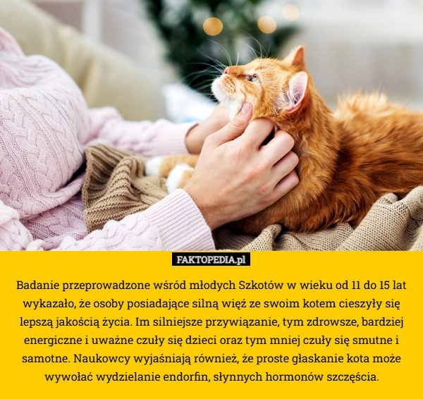 
    Badanie przeprowadzone wśród młodych Szkotów w wieku od 11 do 15 lat wykazało,