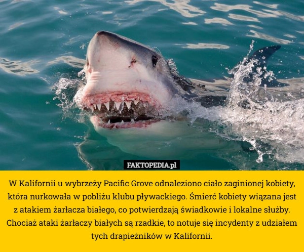 
    W Kalifornii u wybrzeży Pacific Grove odnaleziono ciało zaginionej kobiety,