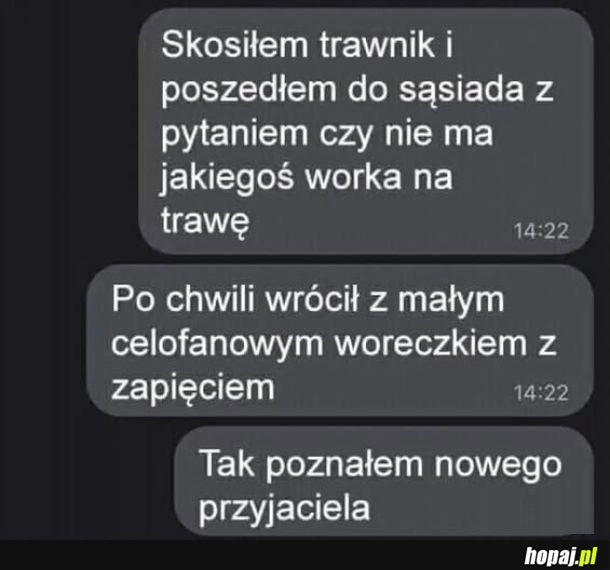 
    Nowy przyjaciel