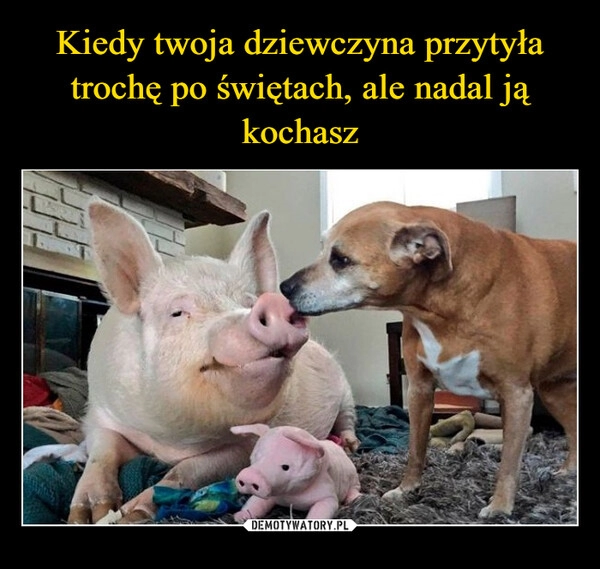 
    Kiedy twoja dziewczyna przytyła trochę po świętach, ale nadal ją kochasz 