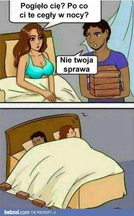 
    Cegły 