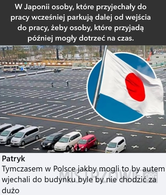 
    Parkowanie