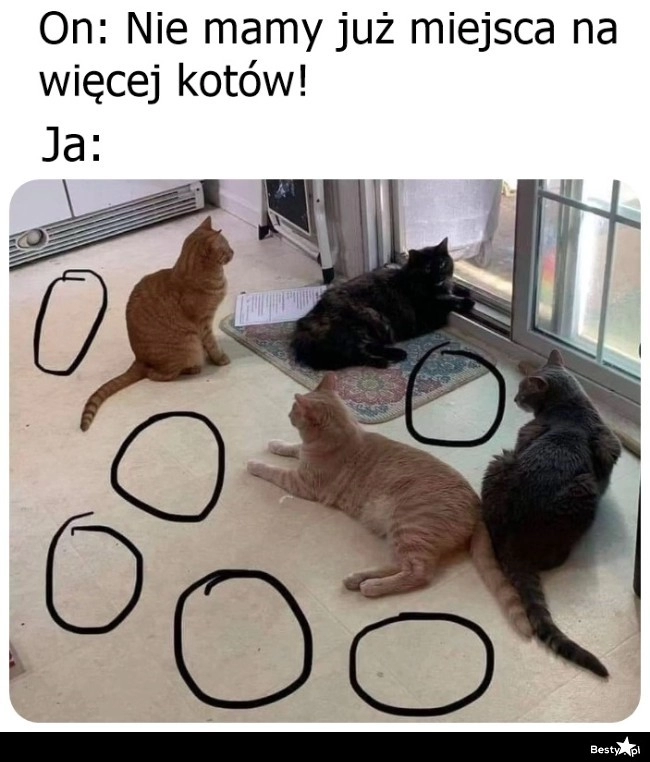 
    Jak to nie 