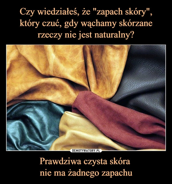 
    Czy wiedziałeś, że "zapach skóry",
który czuć, gdy wąchamy skórzane rzeczy nie jest naturalny? Prawdziwa czysta skóra
nie ma żadnego zapachu 