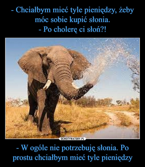 
    - Chciałbym mieć tyle pieniędzy, żeby móc sobie kupić słonia.
- Po cholerę ci słoń?! - W ogóle nie potrzebuję słonia. Po prostu chciałbym mieć tyle pieniędzy