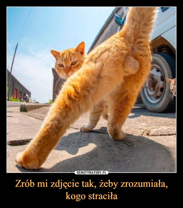 
    Zrób mi zdjęcie tak, żeby zrozumiała, kogo straciła
