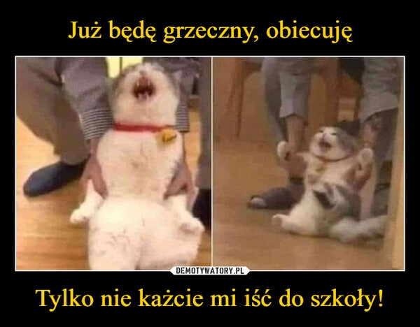 
    Już będę grzeczny, obiecuję Tylko nie każcie mi iść do szkoły!