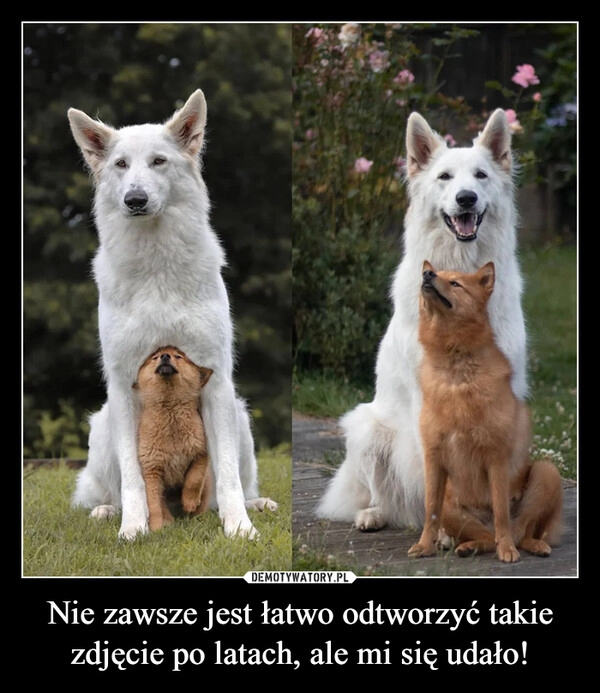 
    Nie zawsze jest łatwo odtworzyć takie zdjęcie po latach, ale mi się udało!