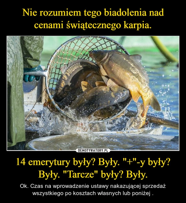 
    
Nie rozumiem tego biadolenia nad cenami świątecznego karpia. 14 emerytury były? Były. "+"-y były? Były. "Tarcze" były? Były. 