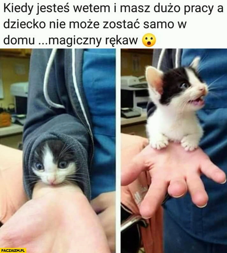 
    Kiedy jesteś weterynarzem i masz dużo pracy a dziecko nie może zostać samo w domu magiczny rękaw z kotkiem