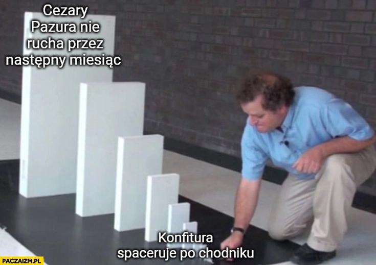 
    Domino Konfitura spaceruje po chodniku, Cezary Pazura nie rucha przez następny miesiąc