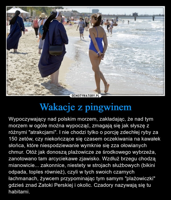 
    Wakacje z pingwinem