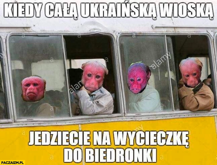 
    Kiedy cała Ukraińska wioska jedziecie na wycieczkę do Biedronki nosacz małpa