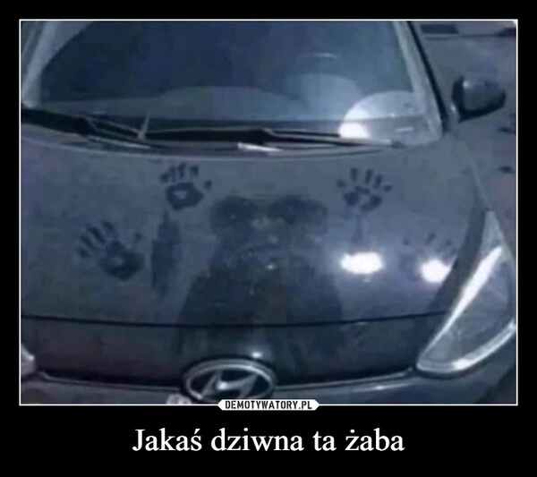 
    Jakaś dziwna ta żaba