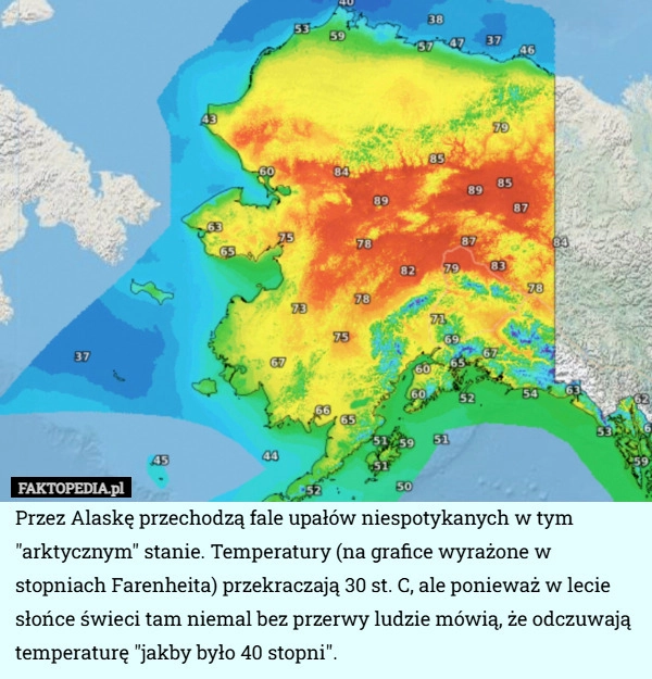 
    Przez Alaskę przechodzą fale upałów niespotykanych w tym "arktycznym"
