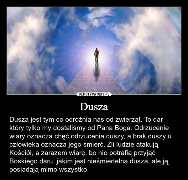 
    Dusza