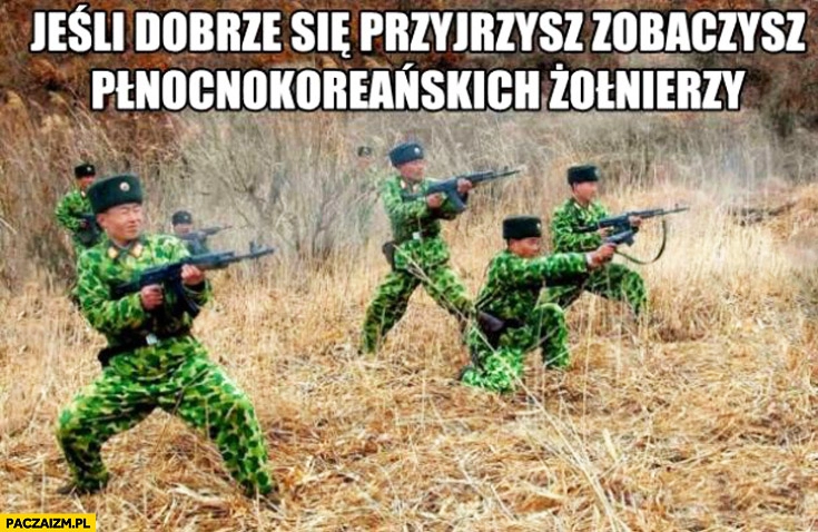 
    Jeśli dobrze się przyjrzysz zobaczysz północnokoreańskich żołnierzy