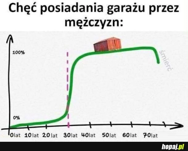 
    Garaż