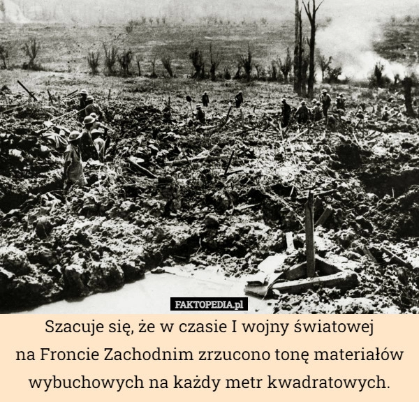 
    Szacuje się, że w czasie I wojny światowej
na Froncie Zachodnim zrzucono