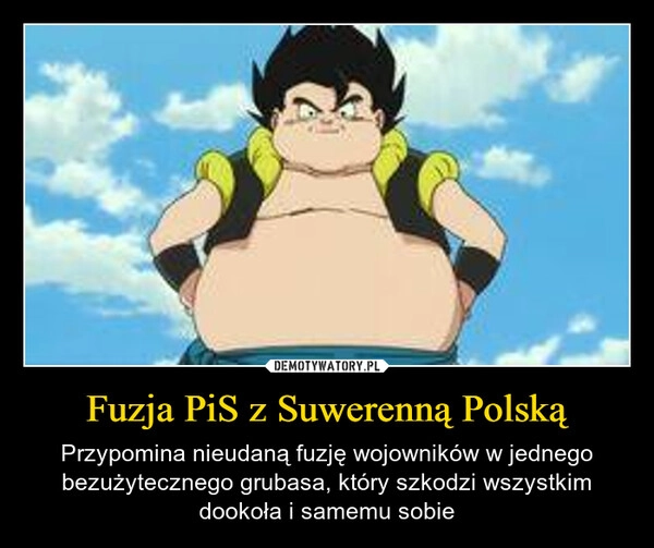 
    Fuzja PiS z Suwerenną Polską