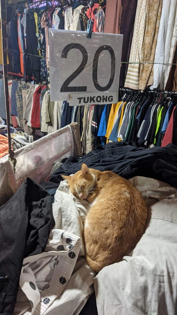 
    Darnit, they said sell the clothes not be the clothes!