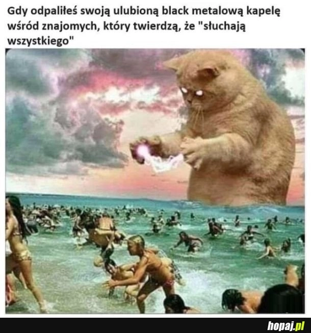 
    Ulubiona kapela