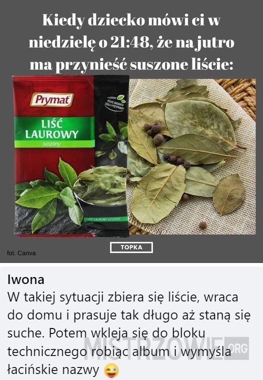 
    Liście