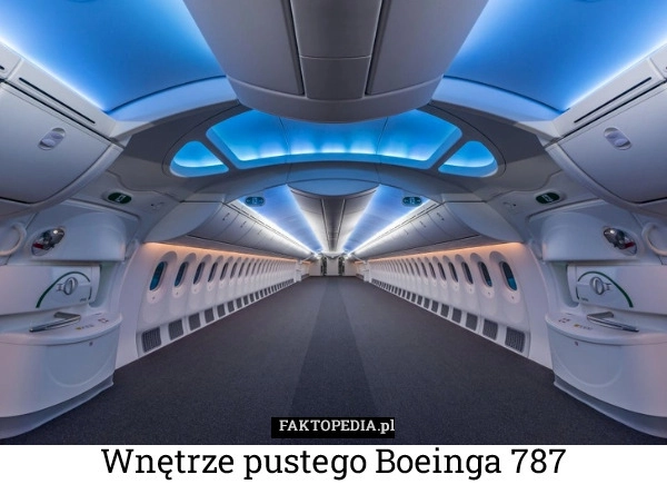 
    Wnętrze pustego Boeinga 787