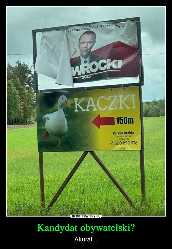 
    Kandydat obywatelski?